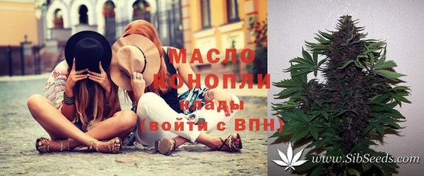 ECSTASY Богородск