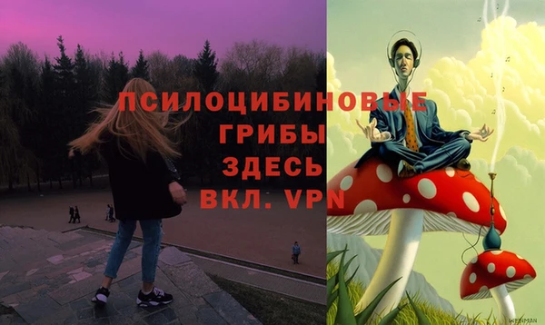 скорость Богородицк