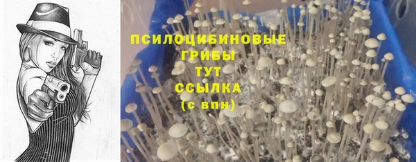 скорость Богородицк