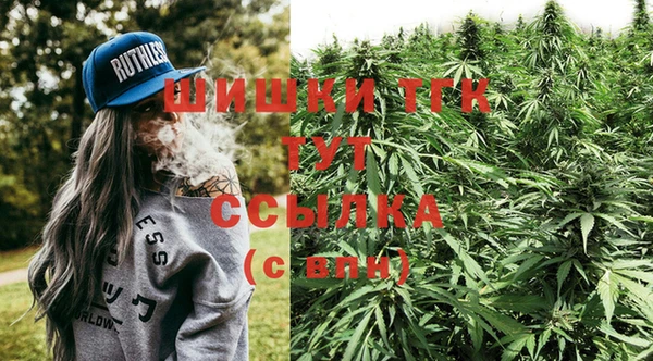 скорость Богородицк