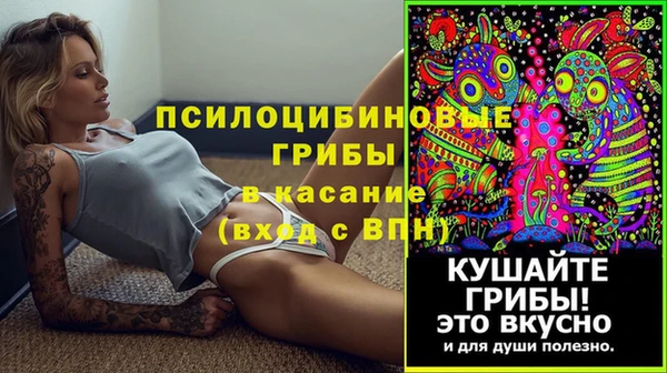 скорость Богородицк