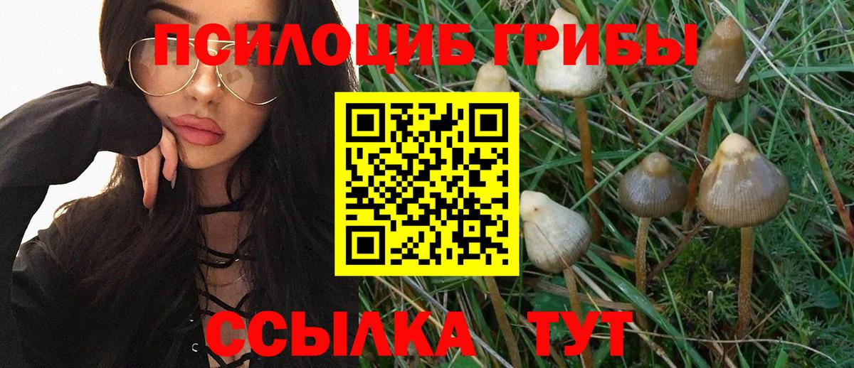 Галлюциногенные грибы мухоморы Маркс